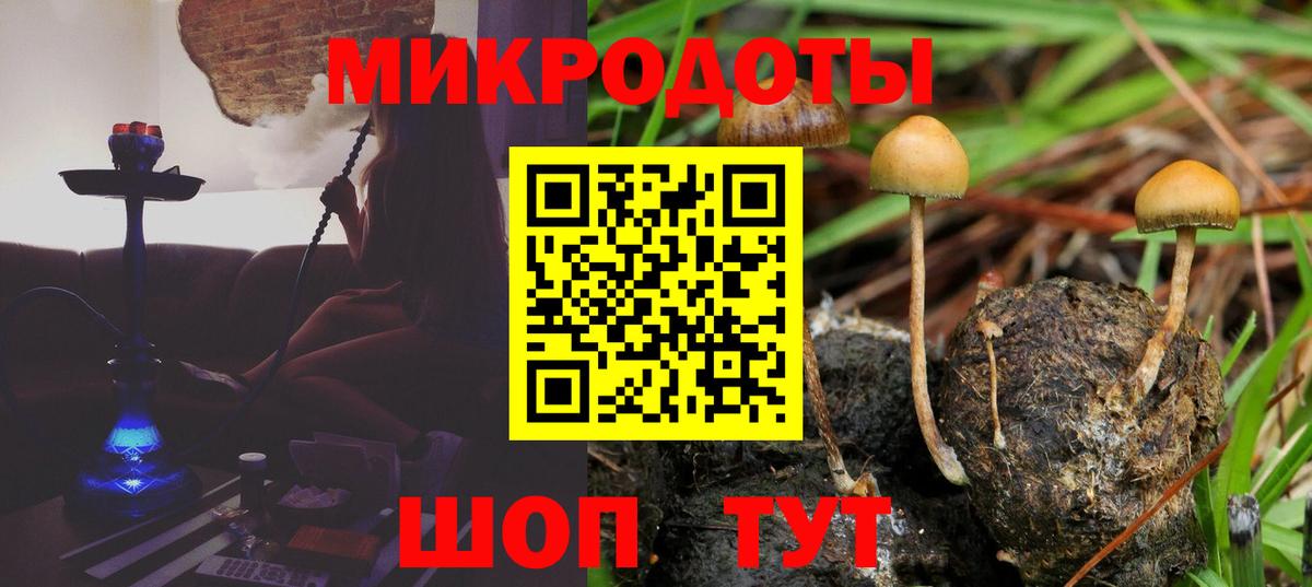 Галлюциногенные грибы мицелий Долгопрудный
