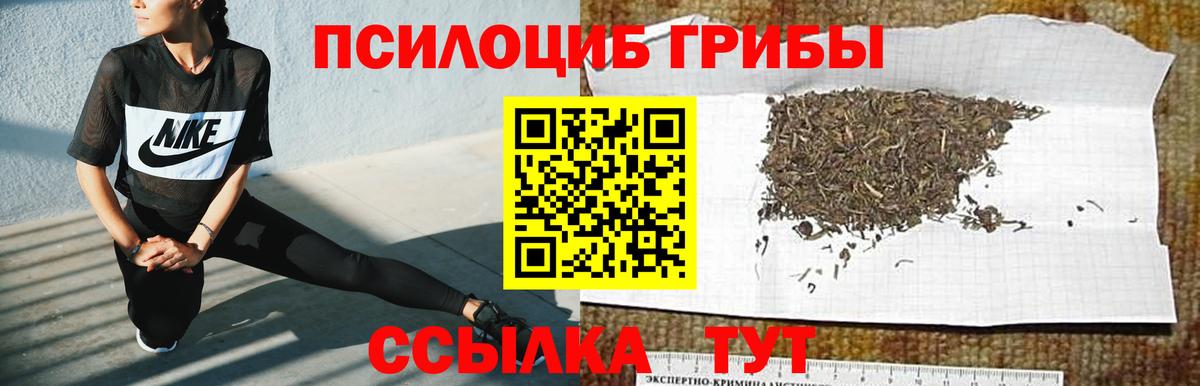 Долгопрудный  Псилоцибиновые грибы ЛСД  Вход с VPN  продажа наркотиков  Галлюциногенные грибы Cubensis 
